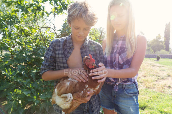 Мальчик и девочка в клетчатых рубашках и джинсовых шортах улыбаются и ласкают курицу, стоя рядом с зелеными кустами в солнечный день на ферме — стоковое фото