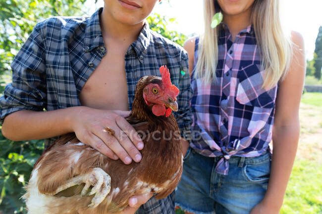 Teen boy and girl in checkered shirts and denim shorts smiling and petting hen while standing near green bushes on sunny day on farm — Stock Photo