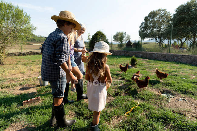 Großmutter und Enkel mit Körben, die Weidehühnern Korn geben, während sie am sonnigen Tag auf dem Bauernhof neben der Scheune stehen — Stockfoto