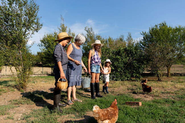 Бабушка с ведром на газоне, стоя рядом с внуками в солнечный день на ранчо — стоковое фото
