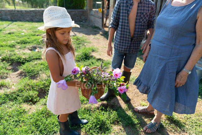 Senior woman and granddaughters picking beautiful flowers in garden together on sunny day on farm — Stock Photo