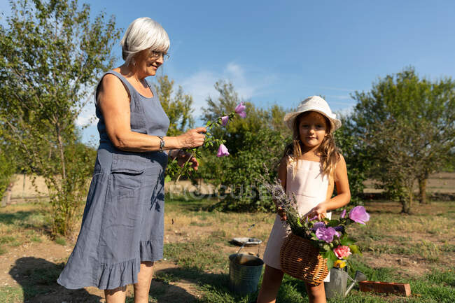 Senior woman and little girl picking beautiful flowers in garden together on sunny day on farm — Stock Photo