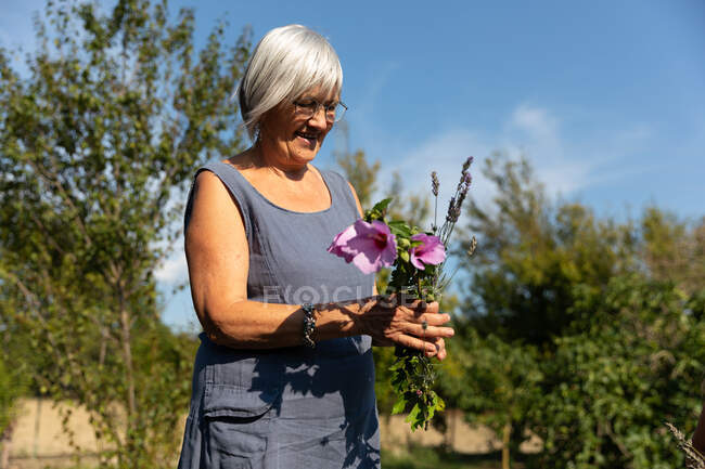 Старша жінка, яка збирає красиві квіти в саду в сонячний день на фермі — стокове фото