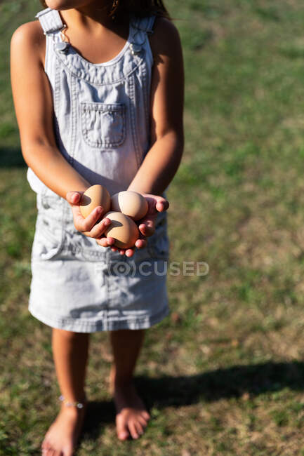 Crop little girl carrying a eggs basket in farm — Stock Photo