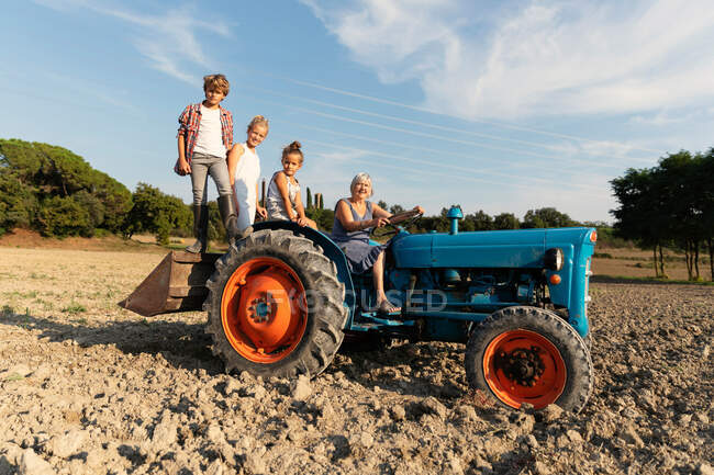 Літня жінка керує трактором під час роботи на сільськогосподарському полі в сонячний день на фермі — стокове фото