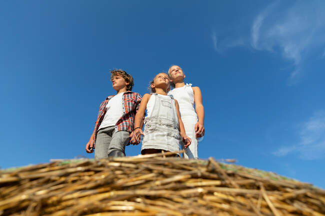 Boy and two girls in casual outfits standing on roll of dried grass against blue sky on sunny day on farm — Stock Photo