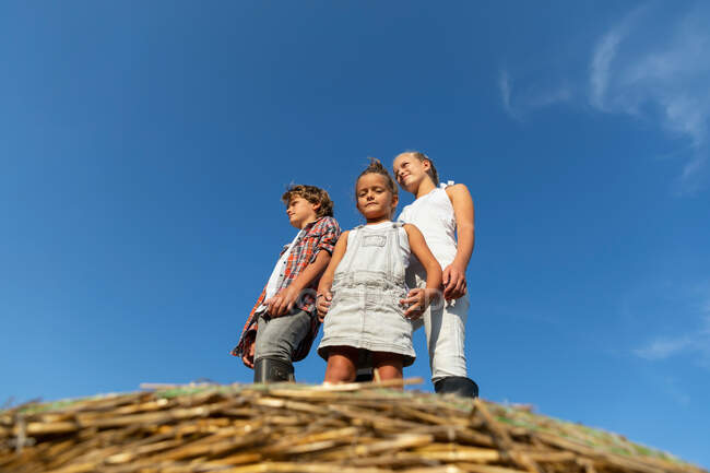 Niño y dos niñas en trajes casuales de pie en rollo de hierba seca contra el cielo azul en el día soleado en la granja - foto de stock