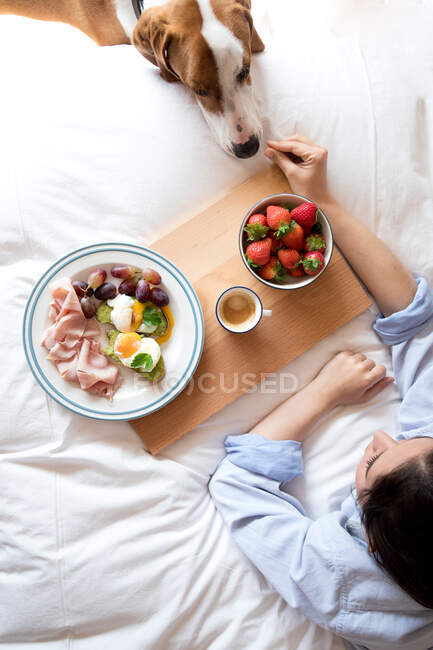 Blick von oben auf anonyme Frau, die ihr Frühstück mit ihrem Hund teilt, während sie auf dem Bett sitzt — Stockfoto