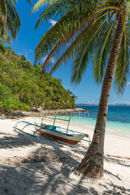 Picturesque view of sandy seaside with boat and palm tree on background of jungle and blue sky — Stock Photo