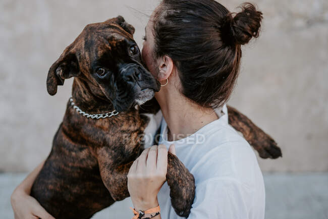 Vista lateral da mulher atraente e cão boxer com cara gentil desfrutando e abraçando — Fotografia de Stock