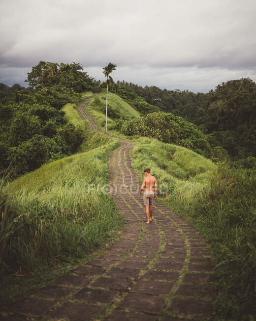 Viajante em estrada pavimentada em montanhas tropicais — Fotografia de Stock