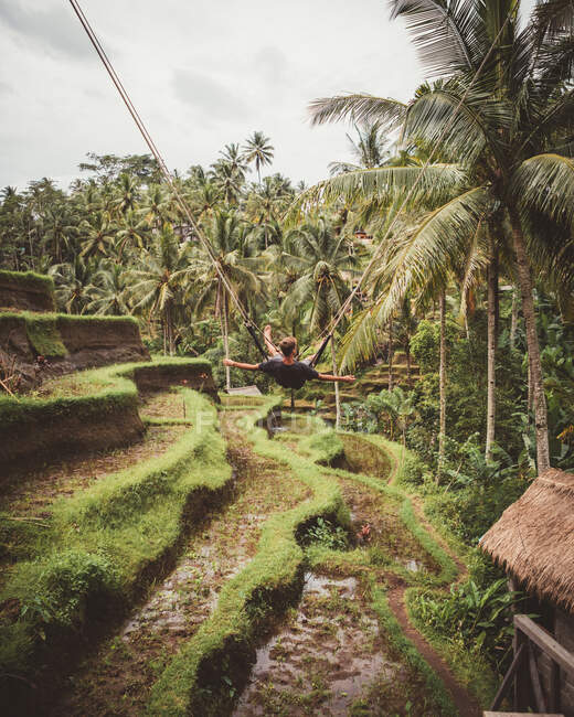 Людина на гойдалках над тропічними плантаціями — стокове фото