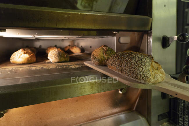 Taking out loaves of delicious bread with crispy crust of hot oven on big wooden scapula indoors — Stock Photo