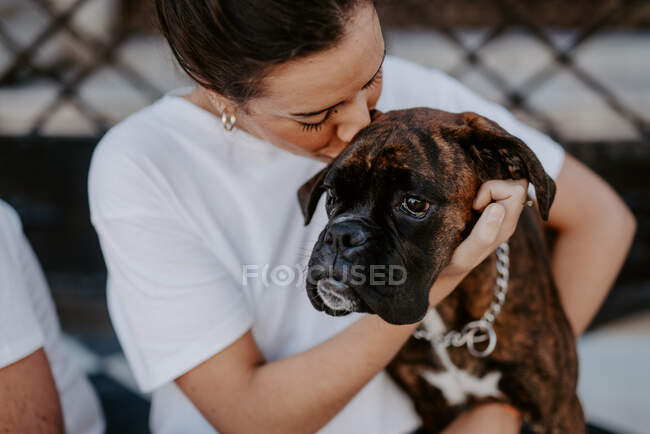 Mujer atractiva y perro boxeador con cara amable disfrutando y abrazando - foto de stock
