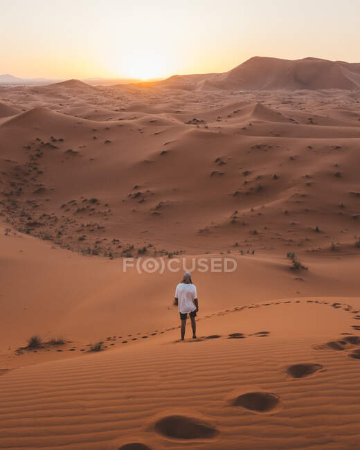 Vista trasera del hombre descalzo en camiseta de verano blanca de pie sobre una duna de arena del desierto sin fin en la puesta del sol, Marruecos - foto de stock