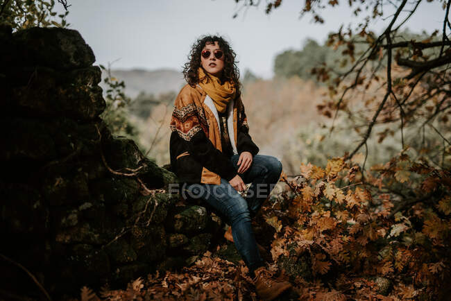 Mujer atractiva en chaqueta caliente y gafas de sol sentada en el bosque de otoño y disfrutando del paisaje - foto de stock