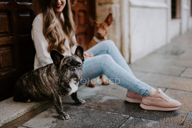 Mulher moderna na moda com bulldog e cão na calçada da rua e inclinando-se na porta de madeira — Fotografia de Stock