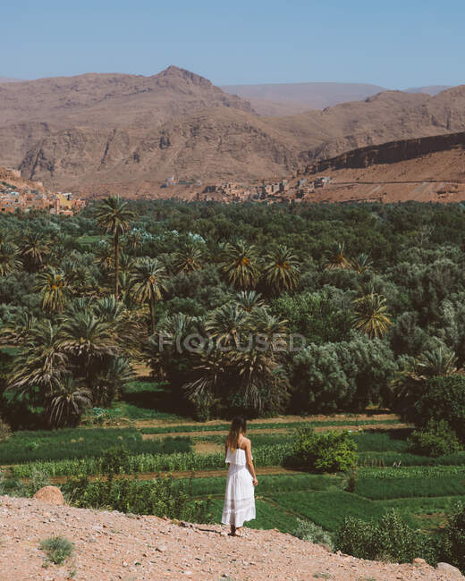 Vista trasera a distancia de la mujer en vestido blanco de pie en la colina del desierto contra el exuberante parque de palmeras verde, Marruecos - foto de stock