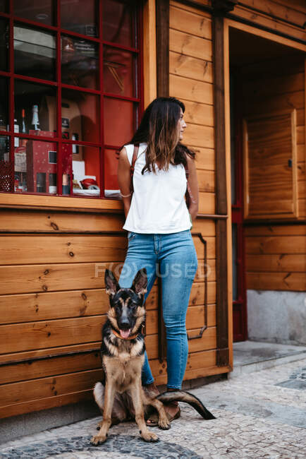 Cute german shepherd standing on cobblestone pavement with owner standing — Stock Photo