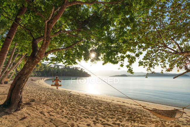 Вид сзади женщины в бикини, сидящей на качелях под большим деревом на берегу озера в солнечный день — стоковое фото