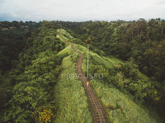 Задній вид сорочки людина ходьба по каменю проклали дорогу на краю зеленої тропічної гори, Балі — стокове фото