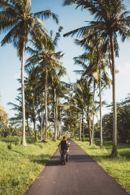 Homem andando de moto entre palmeiras — Fotografia de Stock