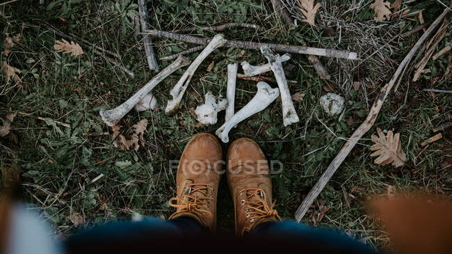 Dall'alto le gambe di raccolto in stivali marroni e ossa rosicchiate bianche si diffondono su erba verde all'aperto — Foto stock