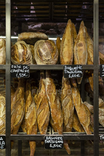 Fresh appetizing baguettes arranged on wooden rack in bakery shop - foto de stock
