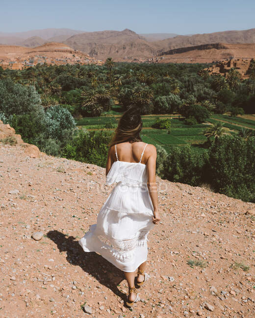 Vista trasera a distancia de la mujer en vestido blanco de pie en la colina del desierto contra el exuberante parque de palmeras verde, Marruecos - foto de stock