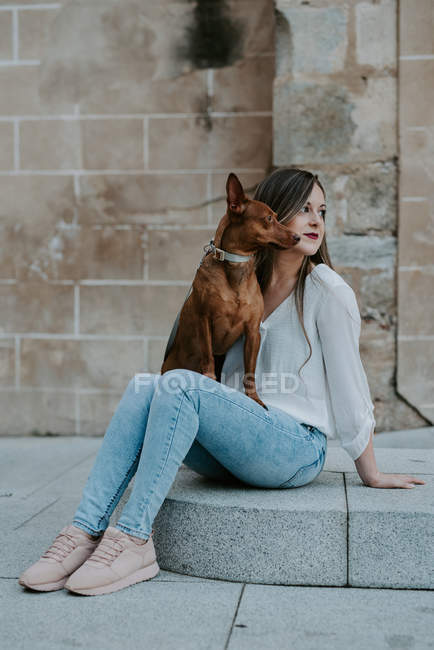 Случайная женщина с собакой на коленях сидит на бетонной ступеньке на улице и смотрит в сторону — стоковое фото