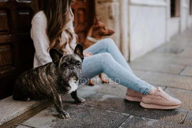 Mulher com buldogue e cão na calçada da rua e inclinando-se na porta de madeira — Fotografia de Stock