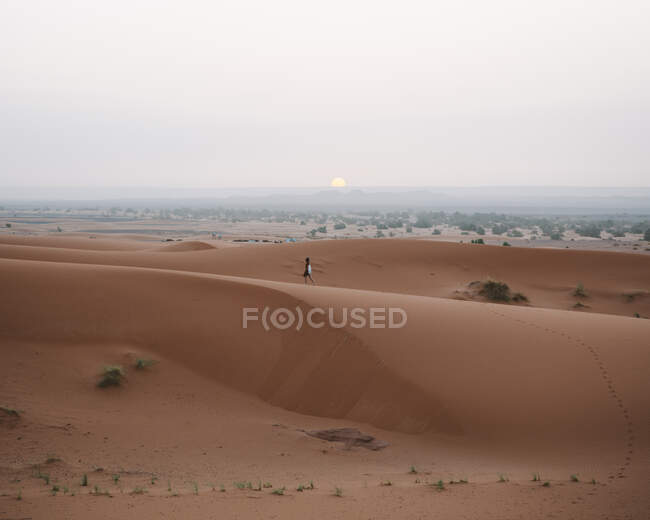 Rückansicht einer barfüßigen Frau im Sommerkleid, die auf einer Sanddüne in der endlosen Wüste im Sonnenuntergang spaziert, Marokko — Stockfoto