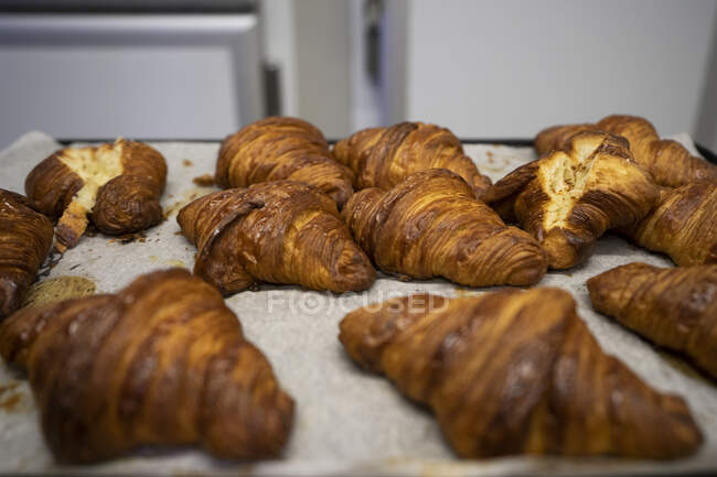 Schöne frisch gebackene Croissants in einem Blech in der Küche drinnen — Stockfoto