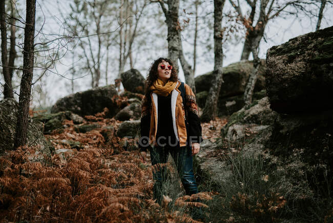 Attractive woman in warm jacket and sunglasses standing in autumn forest and enjoying landscape — Stock Photo