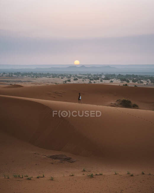 Vista posteriore della donna scalza in abito estivo camminando su dune sabbiose di deserto senza fine al tramonto, Marocco — Foto stock