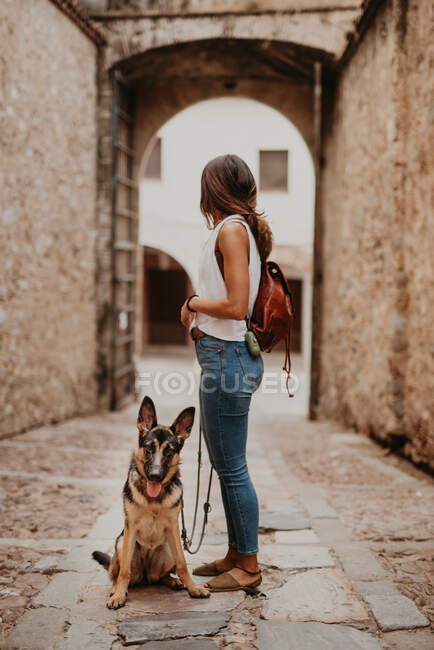 Netter Schäferhund steht auf Kopfsteinpflaster mit Herrchen — Stockfoto