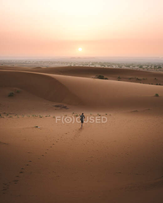 Vista trasera del hombre descalzo en camisa de verano caminando sobre una duna arenosa de desierto sin fin en la puesta del sol, Marruecos - foto de stock