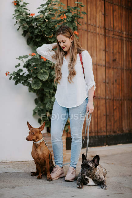 Femme moderne branchée avec bouledogue et chien debout sur le trottoir de la rue — Photo de stock