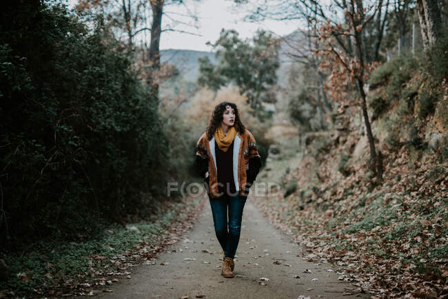 Mujer atractiva en chaqueta caliente caminando en el bosque de otoño y disfrutando del paisaje - foto de stock