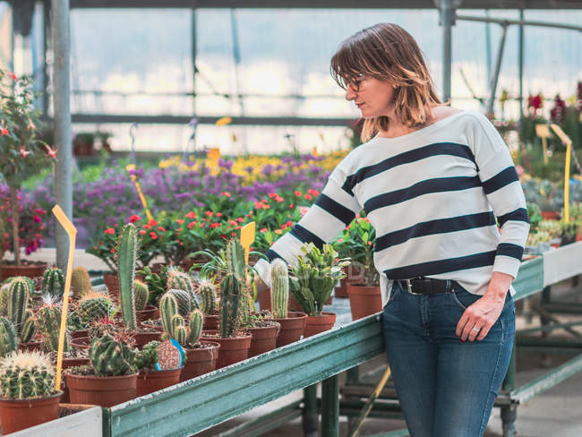 Donna adulta in camicetta a righe e jeans che sceglie succulente in vaso in serra — Foto stock