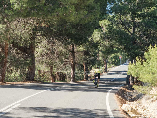 Homem saudável andando de bicicleta na estrada na floresta em um dia ensolarado — Fotografia de Stock