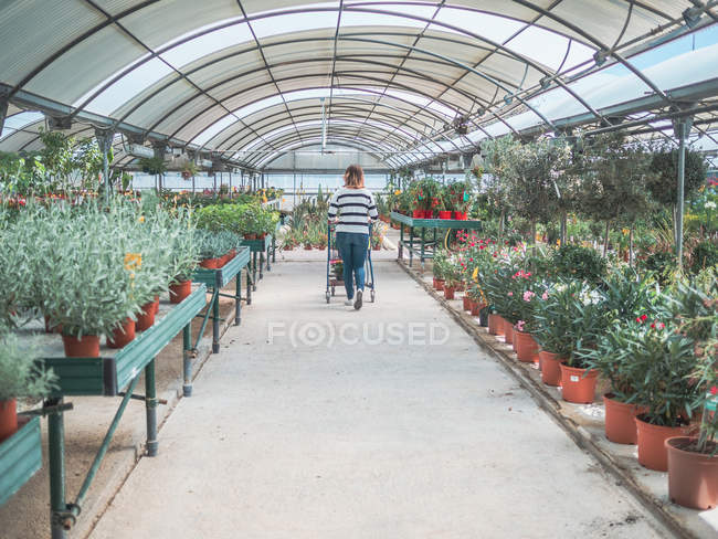 Cliente femminile che sceglie fiori in serra — Foto stock