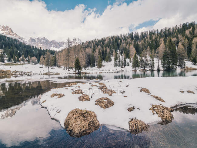 Beautiful landscape of snowy shore water and dry green forest — Stock Photo
