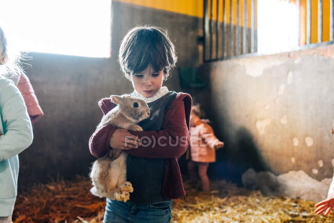 Lindo niño sosteniendo encantador conejito de pie en la luz del sol en una granja - foto de stock