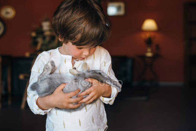 Adorable petit garçon golfant mignon lapin gris moelleux debout à la lumière du jour à la maison — Photo de stock