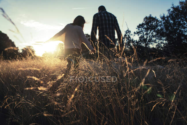 Loving couple walking in golden rural field — Stock Photo
