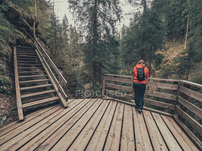 Vue arrière du touriste féminin admirant la belle vue sur la forêt de montagne tout en marchant sur le sentier de randonnée dans les Dolomites, Italie — Photo de stock