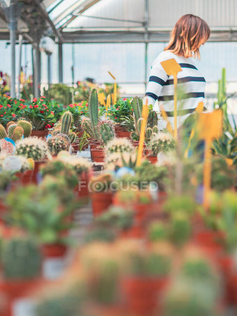 Cliente feminino escolhendo flores em estufa — Fotografia de Stock