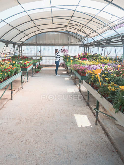 Vue latérale de la femme choisissant des fleurs entre des plantes d'intérieur en pot multicolores sur le marché vide — Photo de stock