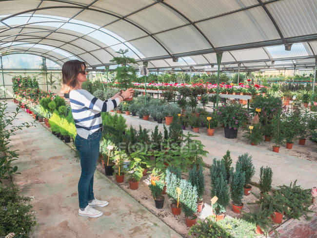 Woman studying flowers in greenhouse — Stock Photo